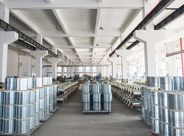 Productos de hardware Co., Ltd. de Zhejiang Tianying